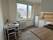 Pronjem byt 1+1, Nov Jin, Dvokova