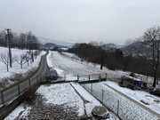 Pron�jem bytu 2+1 v rodinn�m dom�, Zub��, Na Kopci