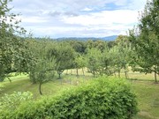 Pron�jem dome�ku, Zub��, Na Kopci