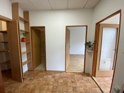 Pron�jem byt 2+kk s terasou, Nov� Ji��n, Novellara