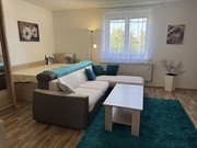 Pron�jem byt 1+1, Nov� Ji��n, Anensk�