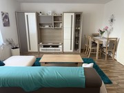 Pron�jem byt 1+1, Nov� Ji��n, Anensk�