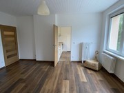 Pron�jem byt 1+1, Kop�ivnice, �tef�nikova