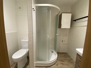 Pron�jem byt 1+1, Kop�ivnice, �tef�nikova
