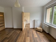 Pron�jem byt 1+1, Kop�ivnice, �tef�nikova