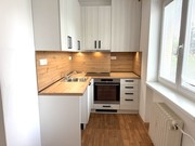 Pron�jem byt 3+1, Nov� Ji��n, Gregorova