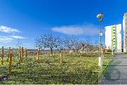  n�jem - 2+kk, Na V�slun� 1297, 277 11 Neratovice